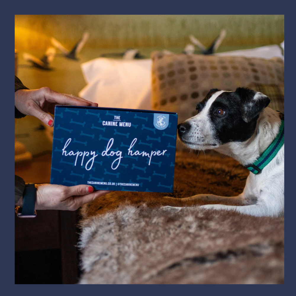 Cattle Box Camping - DOG PASS